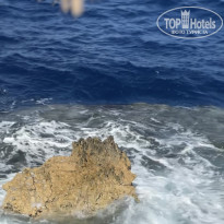 фото из отзыва ID 2732916