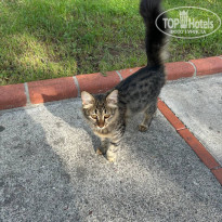 фото из отзыва ID 2732922