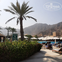 фото из отзыва ID 2732931