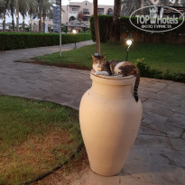 фото из отзыва ID 2732931