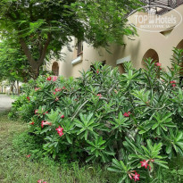 фото из отзыва ID 2732931