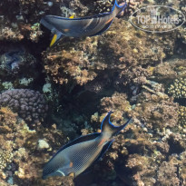 фото из отзыва ID 2732935