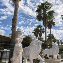 фото из отзыва ID 2732943