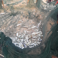 фото из отзыва ID 2732931