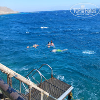 фото из отзыва ID 2732971