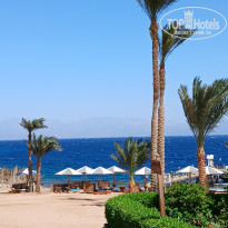 фото из отзыва ID 2732971