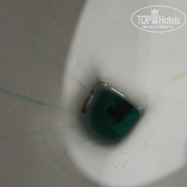 фото из отзыва ID 2732973