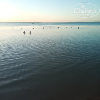 фото из отзыва ID 2732976