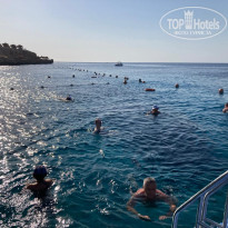 фото из отзыва ID 2733023