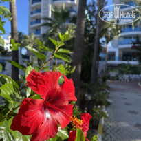 фото из отзыва ID 2733028