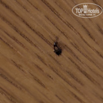 фото из отзыва ID 2733050