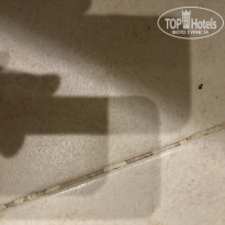 фото из отзыва ID 2733050