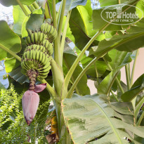 фото из отзыва ID 2733057