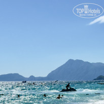 фото из отзыва ID 2733057