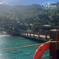 фото из отзыва ID 2733064