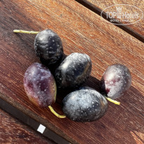 фото из отзыва ID 2733064