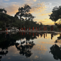 фото из отзыва ID 2733064