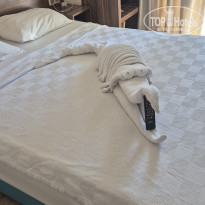 фото из отзыва ID 2733068