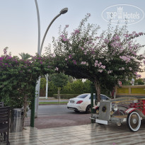 фото из отзыва ID 2733068