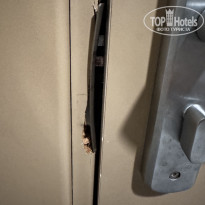 фото из отзыва ID 2733059