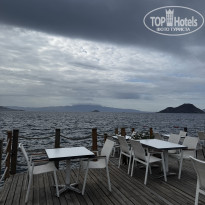 фото из отзыва ID 2733059