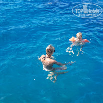 фото из отзыва ID 2732769