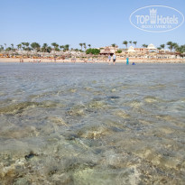 фото из отзыва ID 2733125