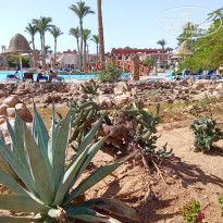 фото из отзыва ID 2733125