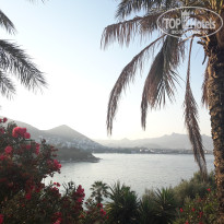 фото из отзыва ID 2732167