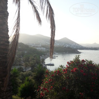 фото из отзыва ID 2732167