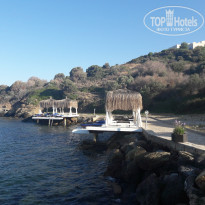 фото из отзыва ID 2732167