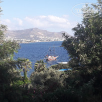 фото из отзыва ID 2732167