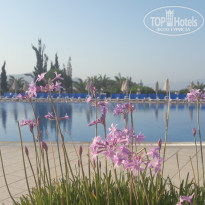 фото из отзыва ID 2732167