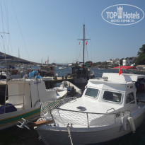 фото из отзыва ID 2732167