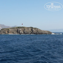 фото из отзыва ID 2732167