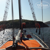 фото из отзыва ID 2732167