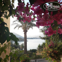 фото из отзыва ID 2732167