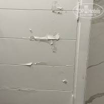 фото из отзыва ID 2733136