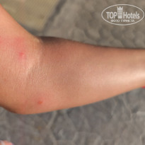 фото из отзыва ID 2732998