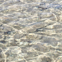 фото из отзыва ID 2732998