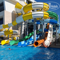 фото из отзыва ID 2733142