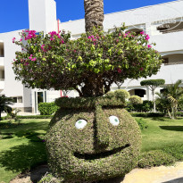 фото из отзыва ID 2733145