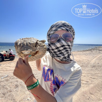 фото из отзыва ID 2733145