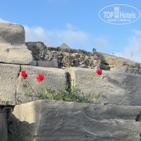 фото из отзыва ID 2732879