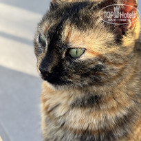 фото из отзыва ID 2732879