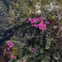 фото из отзыва ID 2733155