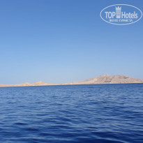 фото из отзыва ID 2733141