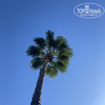 фото из отзыва ID 2733158