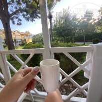 фото из отзыва ID 2733158