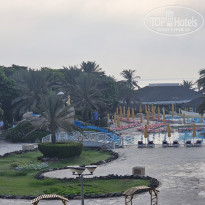 фото из отзыва ID 2733208